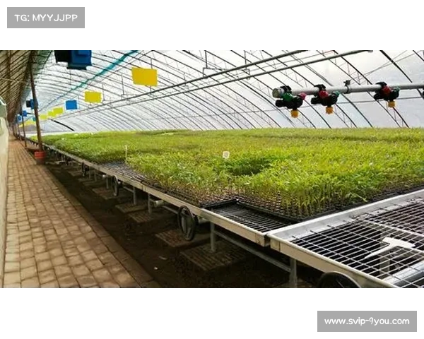 华彬生态园智能灌溉系统助力球场水资源管理新规节水40% 华彬生态园智能灌溉系统助力球场水资源管理新规节水40%
