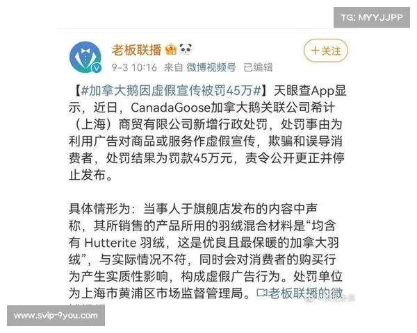 加拿大鹅因虚假宣传遭罚45万元 品质危机引发消费者信任动摇 加拿大鹅因虚假宣传遭罚45万元 品质危机引发消费者信任动摇